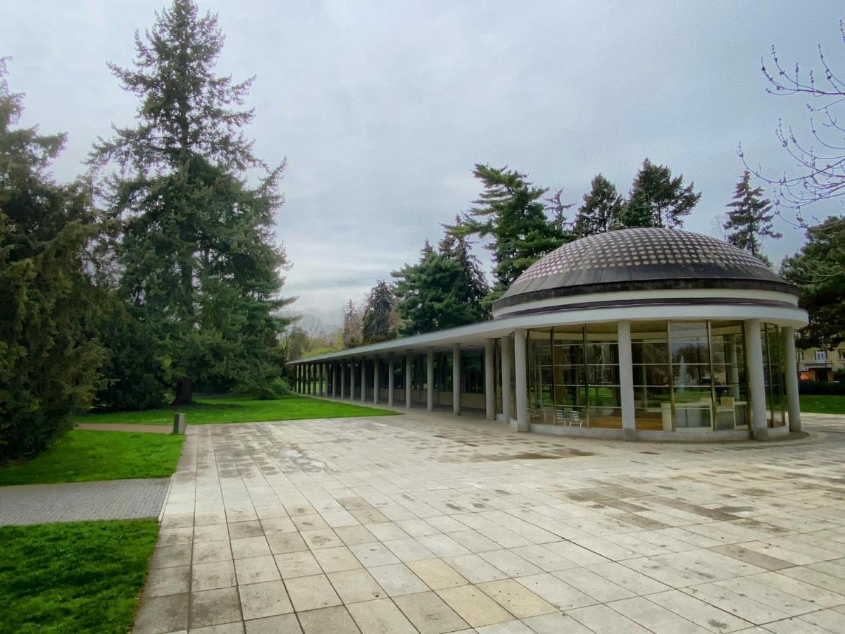 Apartment Spa And Fontain Podebrady Ngoại thất bức ảnh